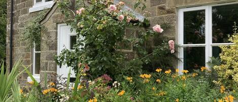 Front garden