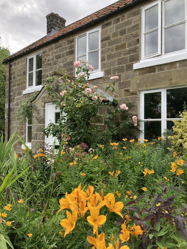 Front garden