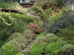 The walkable gardens throughout the property