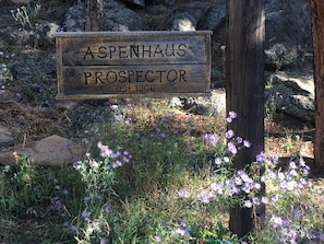 Welcome to AspenHaus Prospector! 120 years young!!