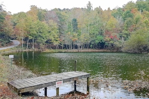 On-Site Pond | Fishing