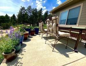 Patio area with Weber grill and great views.
