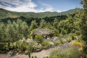 Stunning valley views and vine covered gazebo - perfect for relaxing or a BBQ.