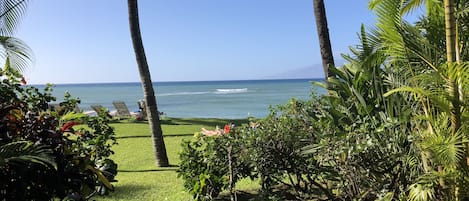 OCEAN FRONT VIEW FROM A105 LANAI!
DIRECT WALKOUT TO SANDY BEACH
