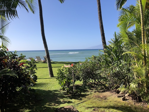 OCEAN FRONT VIEW FROM A105 LANAI!
DIRECT WALKOUT TO SANDY BEACH
