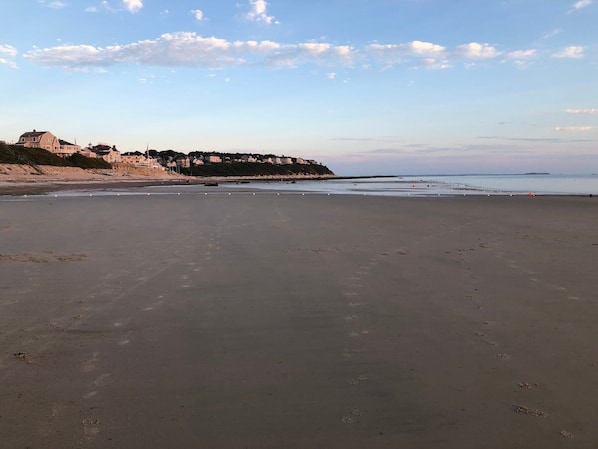 Relaxing morning walks on Priscilla Beach! Nothing like it!  