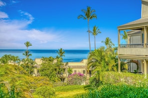 Lanai ocean view