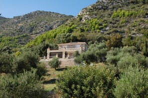 Main house amongst the olive groves