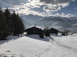 Vue sur le chalet par l'arrière