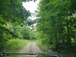 View driving up to the cabin