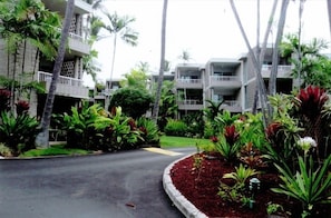 View of the Complex