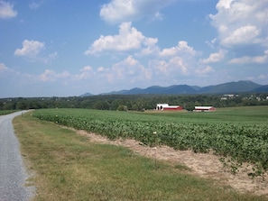 Rivercrest Farm Entrance
