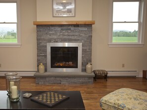 Family Room fireplace