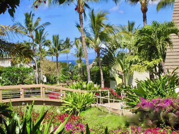 Garden View down the valley from outer lanai and lawn.