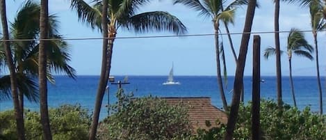 Taken From the Lanai Watching the Boats Returning from Molokini