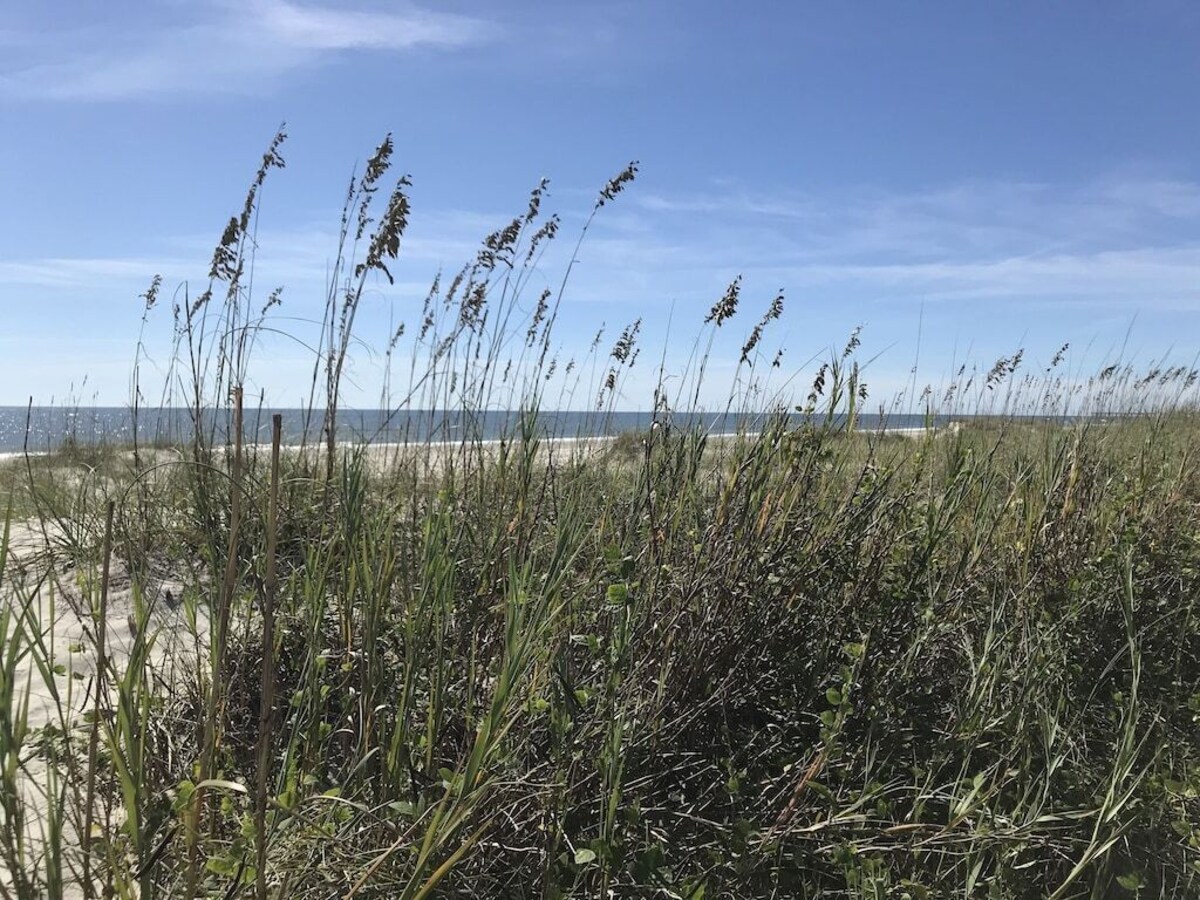 OCEANFRONT W/POOL 8 Bedroom 8 Bath OCEANFRONT Located 3/4 miles east of the pier