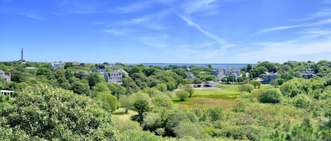 Summertime view from the roofdeck