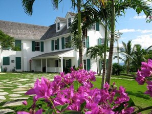 Façade and front yard