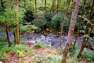 View from deck