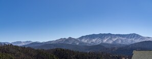 Unobstructed views of Mount Le Conte during all seasons.