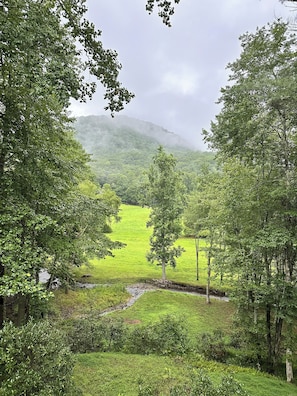 Early morning at Creekside from the deck.