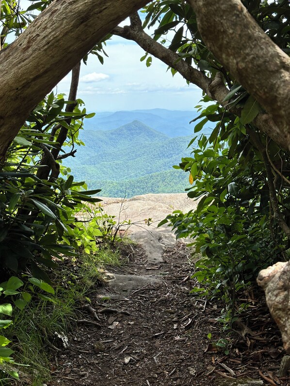 Portal to the valley at 5300 feet!