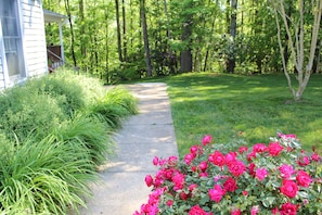 Walk way to lodging