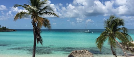 Rainbow Beach, steps from Key Lime house.