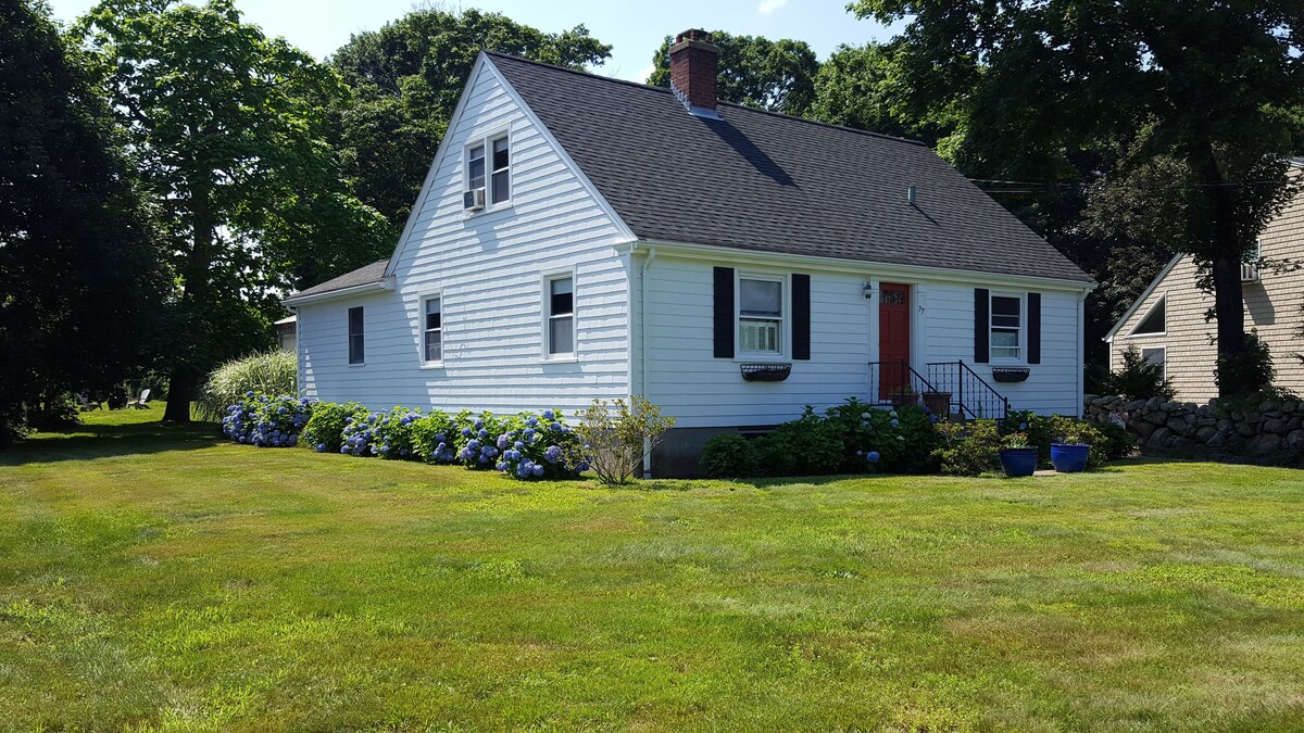 Main Image