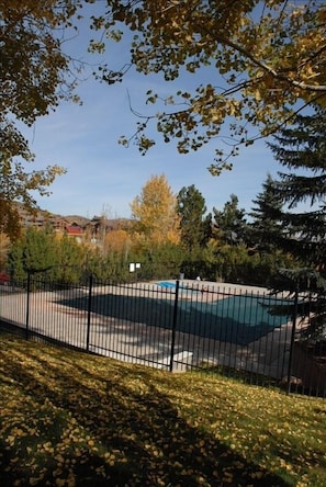 Large Pool and Hot Tub