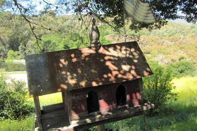 Gracewood Ranch House