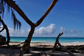 Silver Sands Beach (130 meters far)