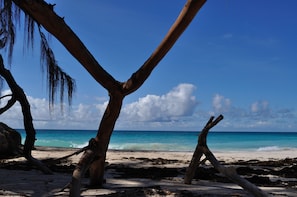 Silver Sands Beach (130 meters far)