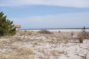 Beautiful Beach of Cape May.