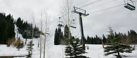 Sneeuw- en skisporten