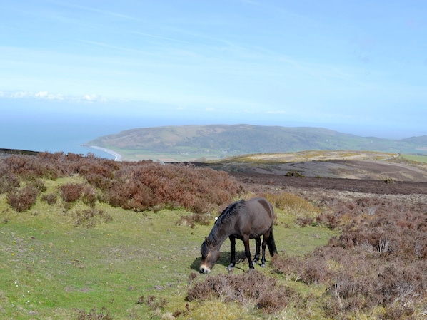 The rugged beauty of Exmoor looking over the Vale of Porlock