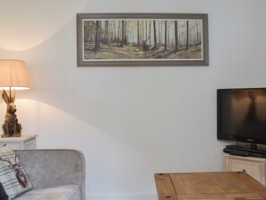 Cosy living room | The Butts Cottage, Stanhope