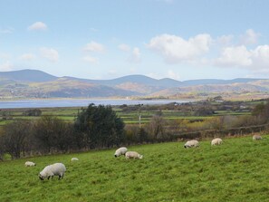 View | Moorside Farm - Moorside Lodge, Askam-in-Furness