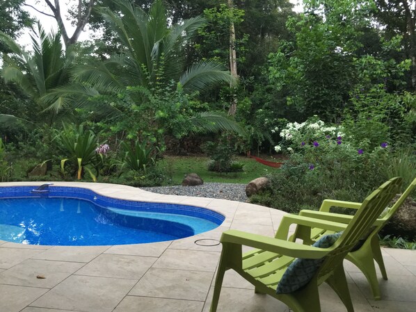 salt water pool in high season... chorine during green season