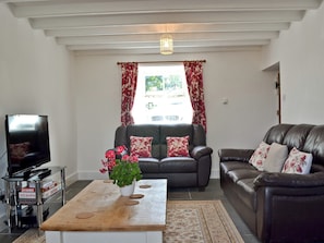 Living room with TV | Ty Newydd, Llwyngwril, near Aberdovey