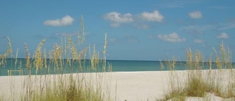 Beach with turtle nest on the left side of the photo.