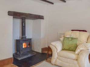 Cosy and warm living room | Woodlands, Laugharne, near Pendine