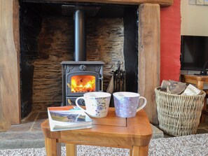 Relax in front of a roaring fire | Bryntrisant, Devil’s Bridge, near Aberystwyth
