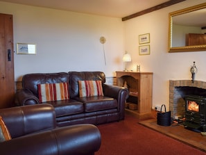 Cosy living room with wood burner | Augustus Cottage, Llangadog, near Llandeilo