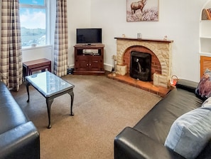 Cosy living room with open fire | Culquhasen, Newton Stewart, near Stranraer