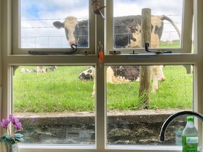 View | Spoutscroft Cottage, Austwick, near Settle