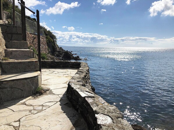 View to sea from lower terrace  | Puffin Burrow, Portmellon, near Mevagissey