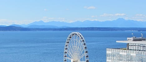 Water view - Olympic Mts in background