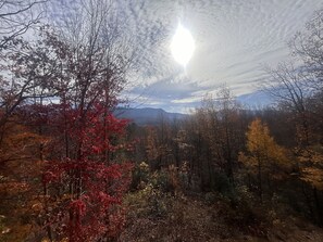 View early Dec 2024