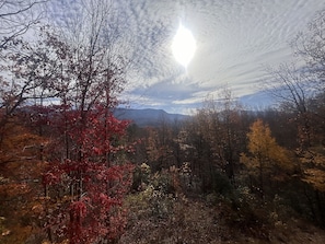 View early Dec 2024